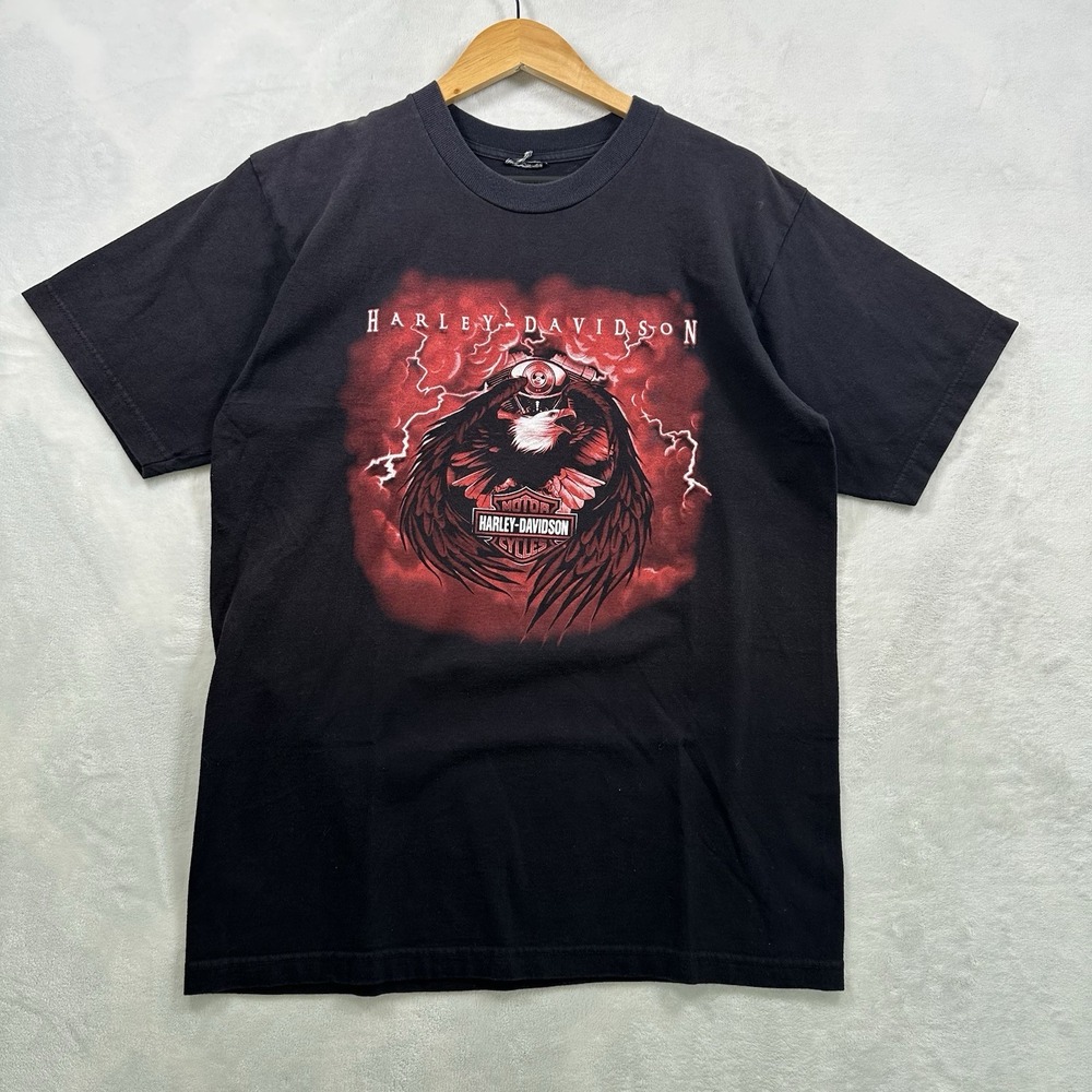 Vintage Y2k 2004 Harley Davidson Eagle Lighting Alaska Bear Black T-shirt Sz L
